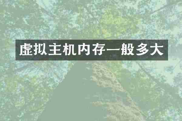 虚拟主机内存一般多大