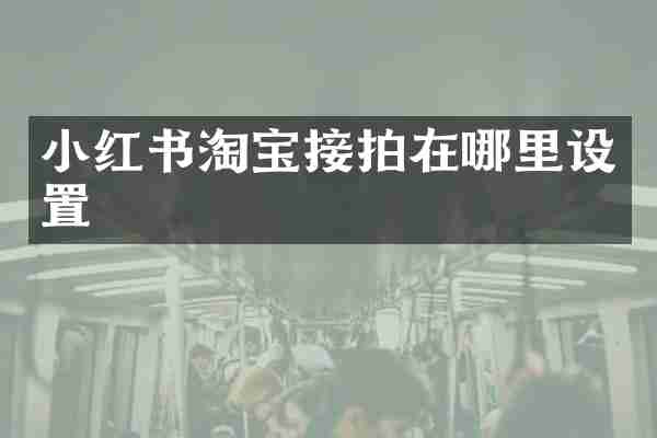 小红书淘宝接拍在哪里设置