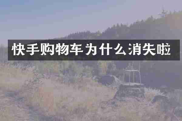 快手购物车为什么消失啦