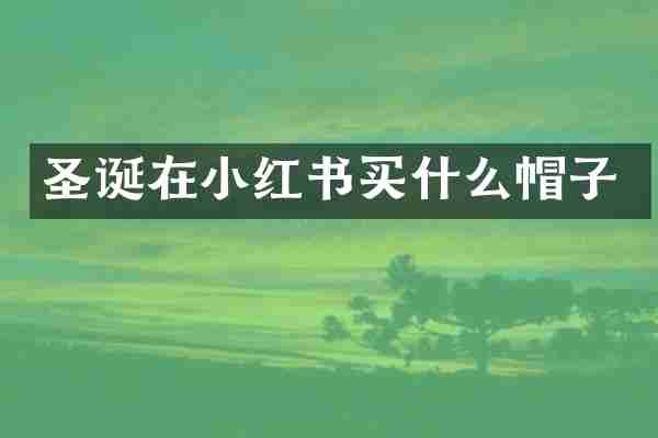 圣诞在小红书买什么帽子