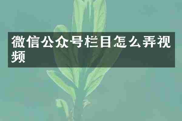 微信公众号栏目怎么弄视频
