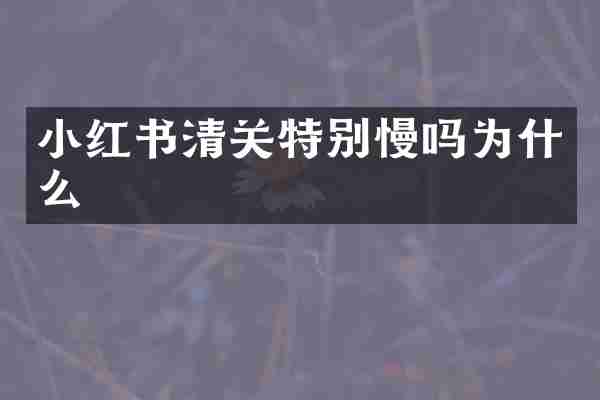 小红书清关特别慢吗为什么