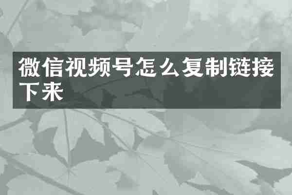微信视频号怎么复制链接下来