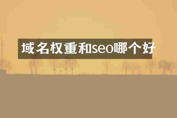 域名权重和seo哪个好
