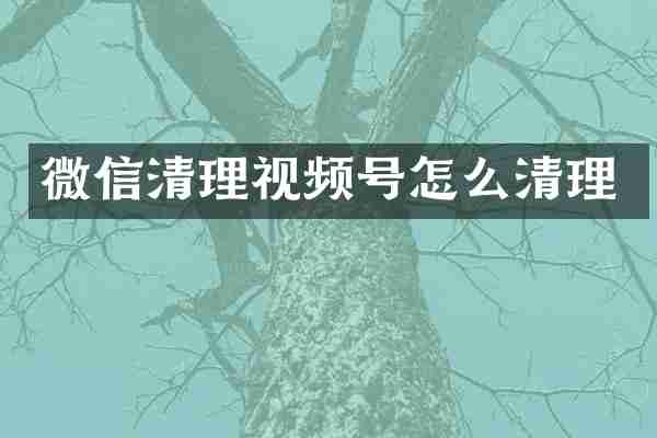 微信清理视频号怎么清理