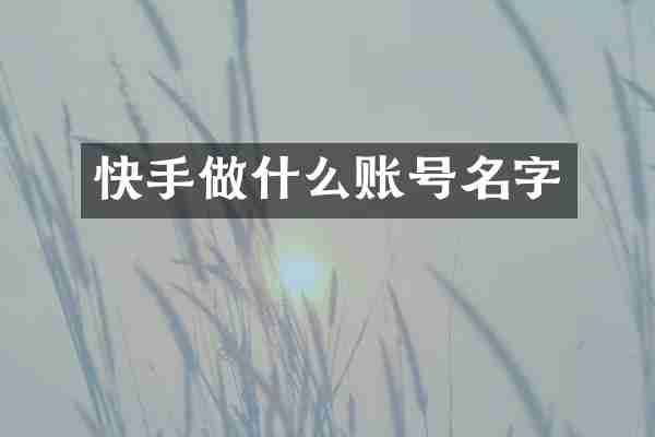 快手做什么账号名字