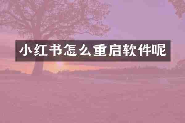小红书怎么重启软件呢