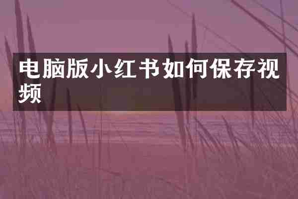 电脑版小红书如何保存视频