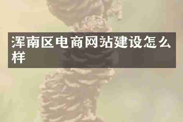 浑南区电商网站建设怎么样