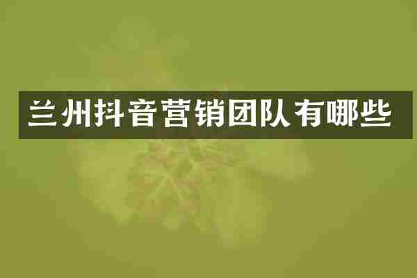 兰州抖音营销团队有哪些