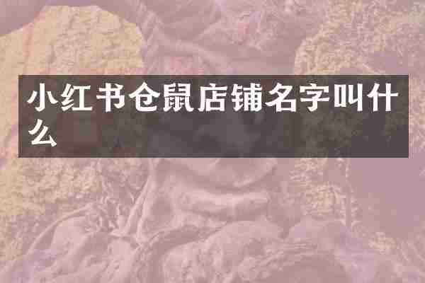 小红书仓鼠店铺名字叫什么