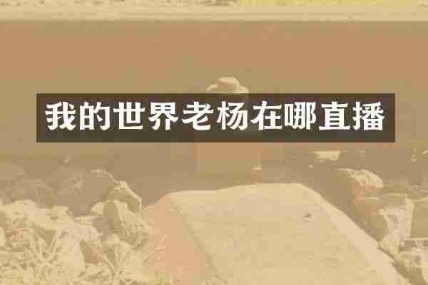 我的世界老杨在哪直播