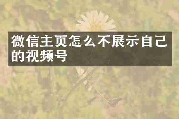 微信主页怎么不展示自己的视频号
