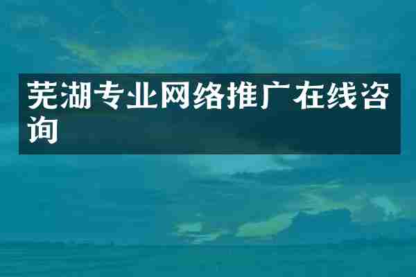 芜湖专业网络推广在线咨询