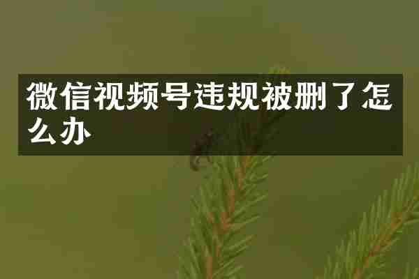 微信视频号违规被删了怎么办