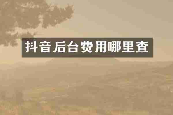 抖音后台费用哪里查