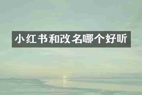 小红书和改名哪个好听