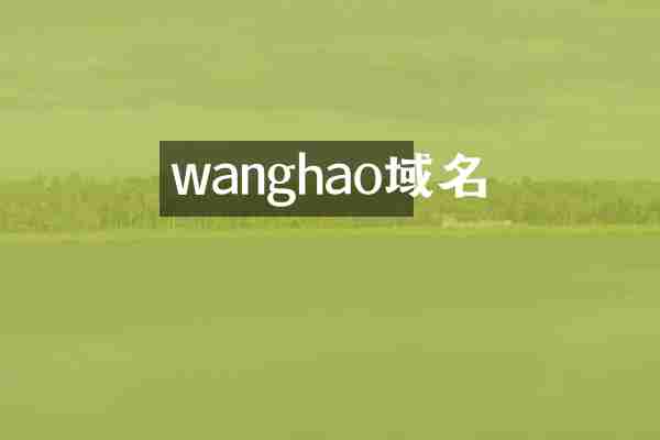 wanghao域名