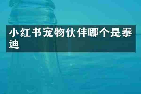 小红书宠物伙伴哪个是泰迪