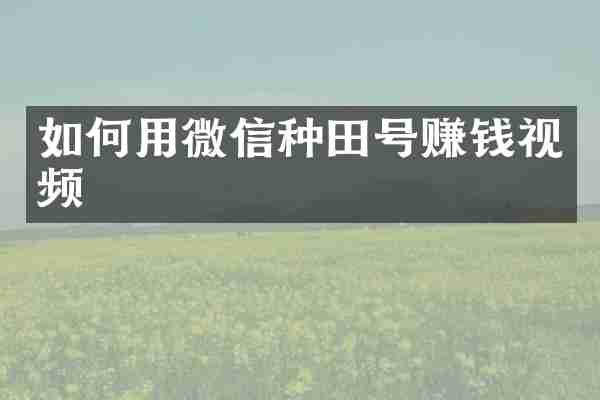 如何用微信种田号赚钱视频