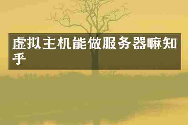 虚拟主机能做服务器嘛知乎
