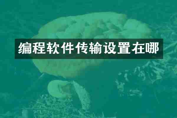 编程软件传输设置在哪