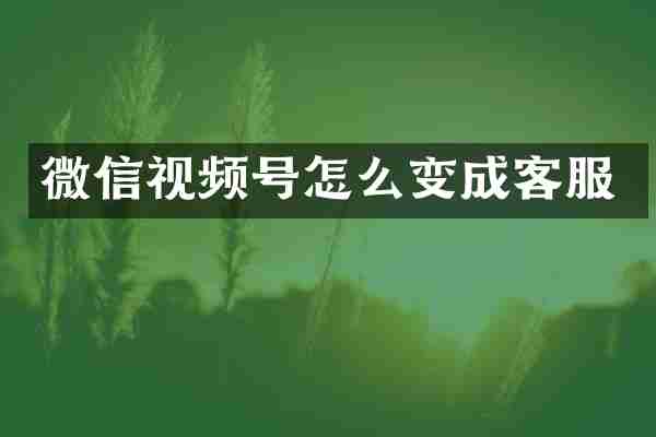 微信视频号怎么变成客服