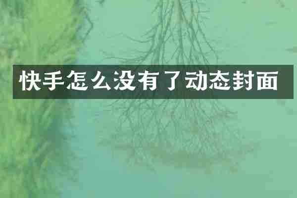 快手怎么没有了动态封面