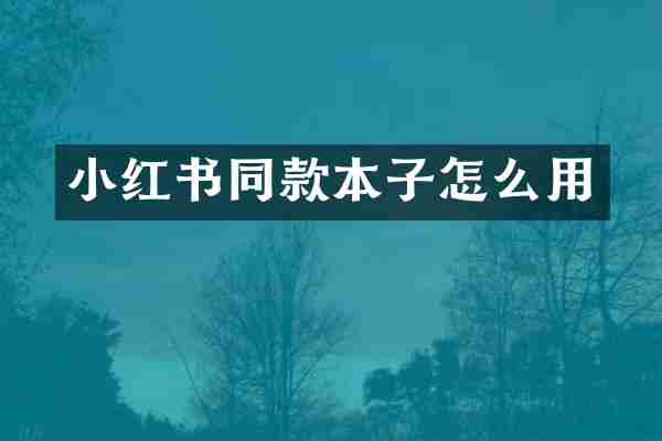 小红书同款本子怎么用