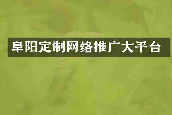 阜阳定制网络推广大平台