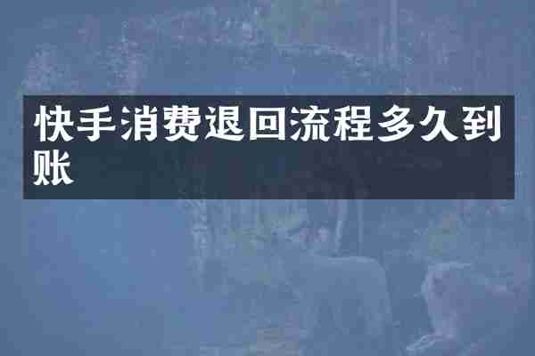 快手消费退回流程多久到账