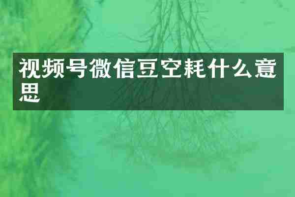 视频号微信豆空耗什么意思