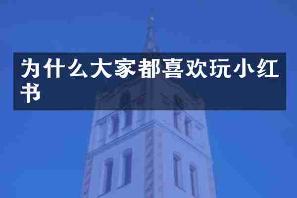 为什么大家都喜欢玩小红书
