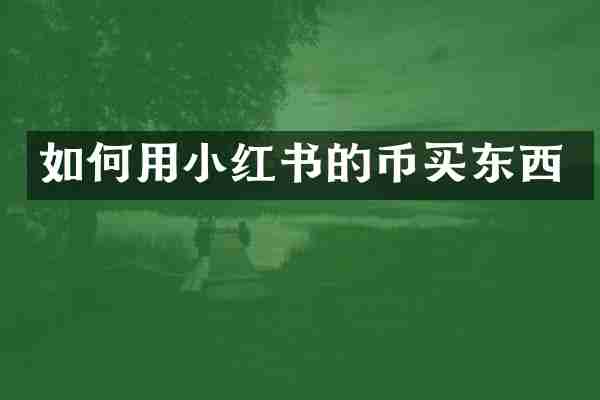 如何用小红书的币买东西