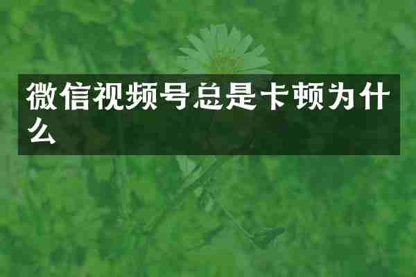 微信视频号总是卡顿为什么