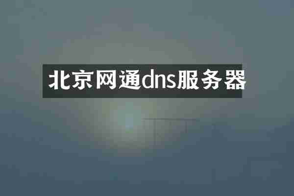 北京网通dns服务器