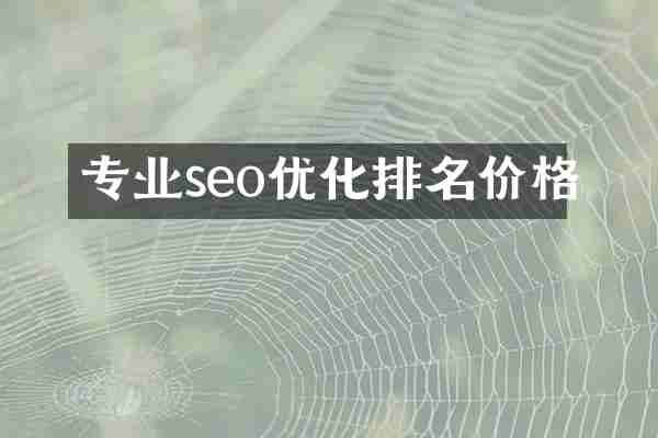 专业seo优化排名价格