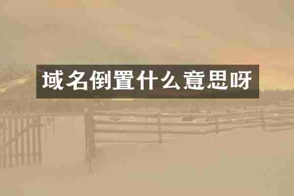 域名倒置什么意思呀
