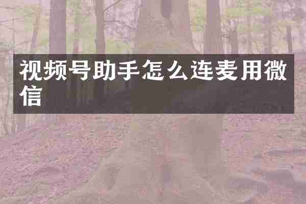视频号助手怎么连麦用微信