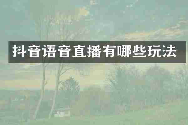 抖音语音直播有哪些玩法