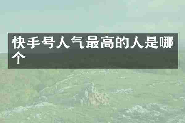 快手号人气最高的人是哪个