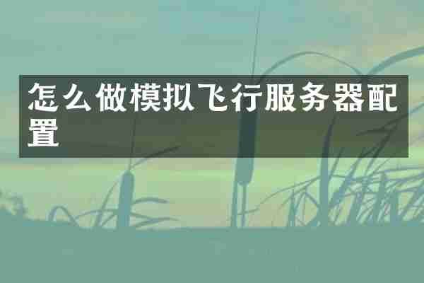 怎么做模拟飞行服务器配置
