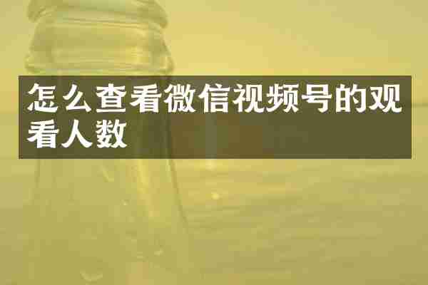 怎么查看微信视频号的观看人数