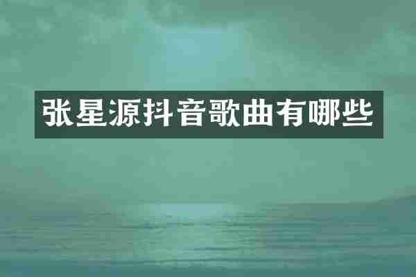 张星源抖音歌曲有哪些