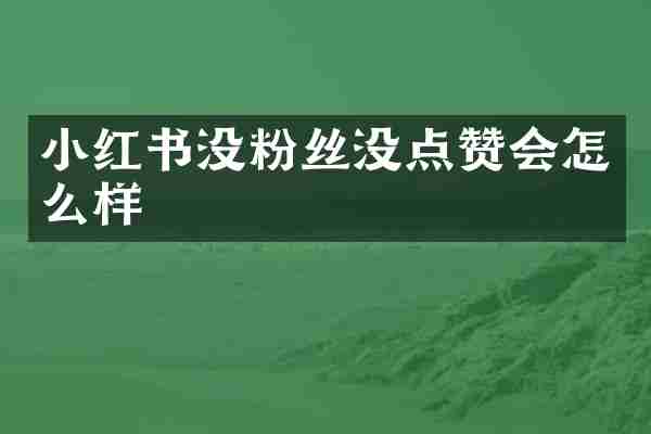 小红书没粉丝没点赞会怎么样