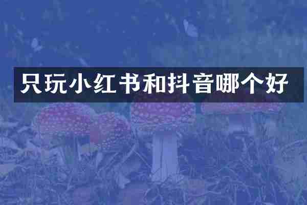 只玩小红书和抖音哪个好