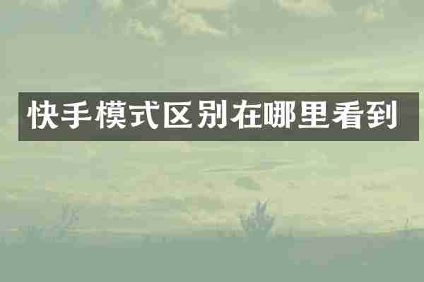 快手模式区别在哪里看到
