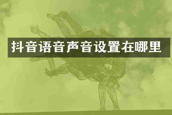 抖音语音声音设置在哪里