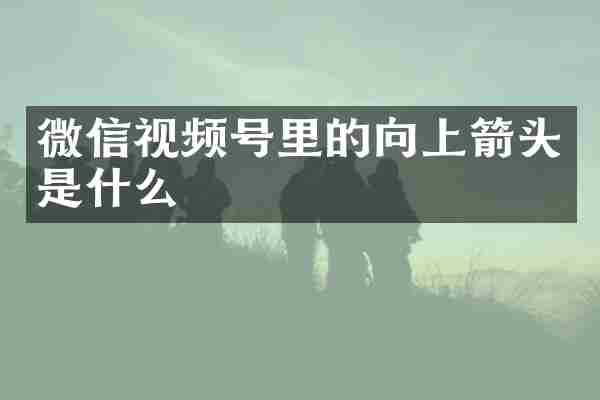 微信视频号里的向上箭头是什么