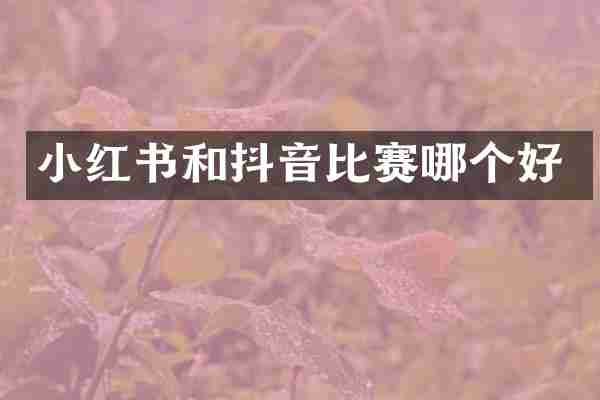 小红书和抖音比赛哪个好